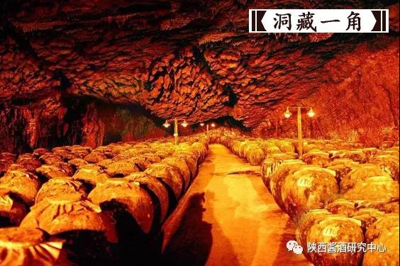 微信图片_20181120103344.jpg
